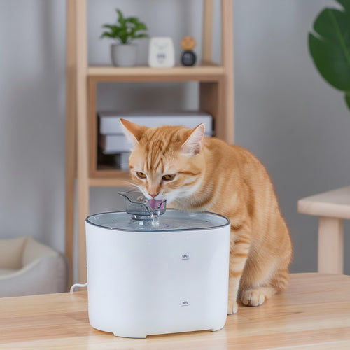 Smart Water Dispenser for Cats and Dogs ? Silent and Oxygenated 2L